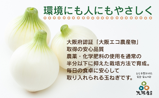【令和8年度産】玉ねぎ 2kg×2箱 ｜ 混サイズ 玉ねぎ たまねぎ タマネギ 玉葱 カレー シチュー 肉じゃが スープ サラダ 人気 大阪 河内長野 kawabata farm 料理  国産 エコ農