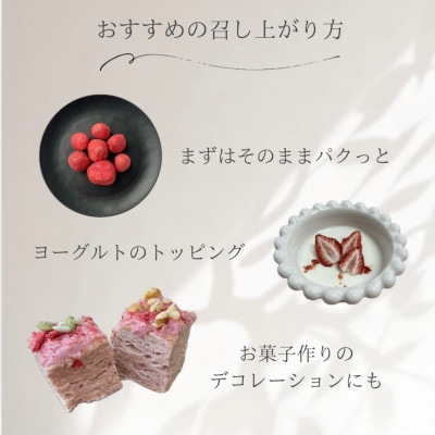 フリーズドライあまおう【円らか＆ミディ】 20g×2袋(各1袋)(筑後市)