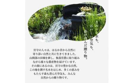ジュース とまと 旬素材 1L 6本 /  宮守川上流生産組合 岩手県 遠野市 産 アイコ 100% 野菜 フルーツ 果物 ギフト 人気