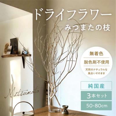 ふるさと納税 多良木町 TSUKIGI みつまた 50cm〜80cm 白枝 インテリア オブジェ
