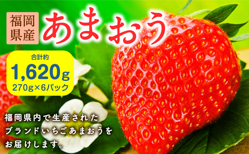 
【2024年2月上旬～2024年4月下旬発送】福岡県産あまおう270g×6パック 合計1620g いちご ブランド
