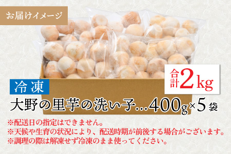 簡単手間なし！冷凍のまま調理！大野の里芋の洗い子 400g × 5袋 計2kg (冷凍) [A-001015]