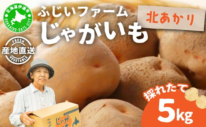 ＜先行予約＞北海道産 じゃがいも(北あかり) 約5kg【55250842】ジャガイモ 馬鈴薯 ポテト 芋 イモ きたあかり キタアカリ 野菜 人気 ふじいファーム 5kg