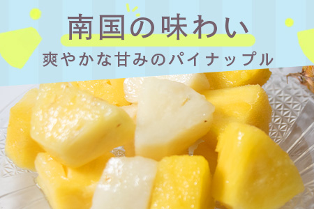 石垣島 冷凍パイナップル 6回 定期便 KP-7-1