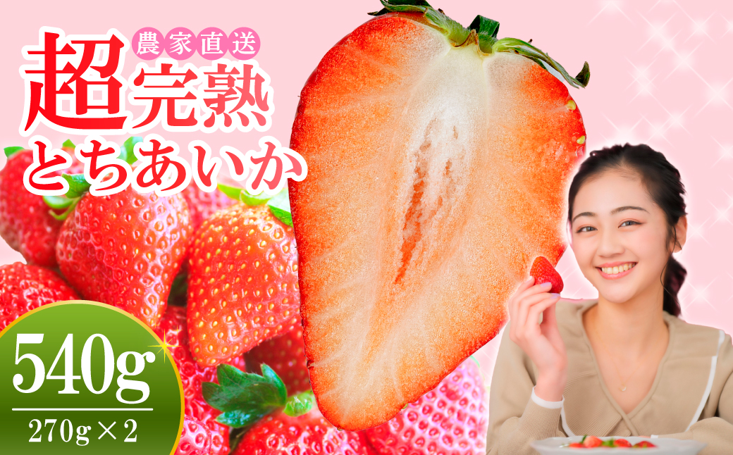 【先行受付：1月以降発送】いちご 小島さんちの完熟 とちあいか レギュラーサイズ 約270g×2パック 合計 約540g | いちご イチゴ 苺 とちあいか 完熟 大粒 果物 フルーツ くだもの あまい 甘い 産地直送 栃木県産 小島いちご園 栃木県 茂木町