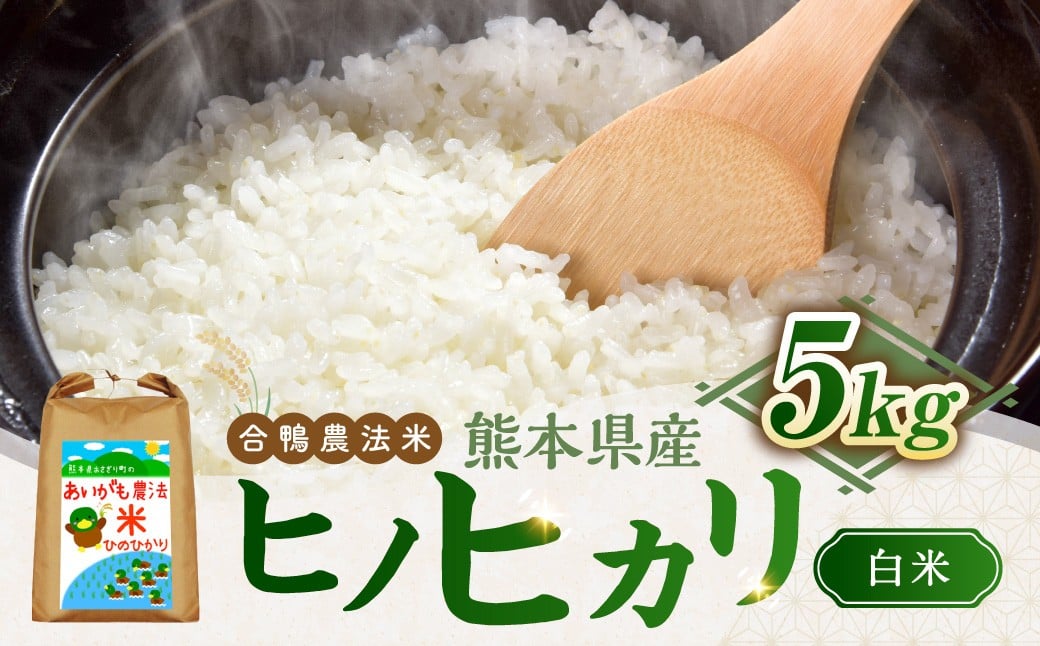 令和7年産 合鴨農法米 ヒノヒカリ 白米 5kg×1袋 米 お米 こめ ライス 農薬・化学肥料不使用 合鴨農法 国産 九州 熊本県産 常温