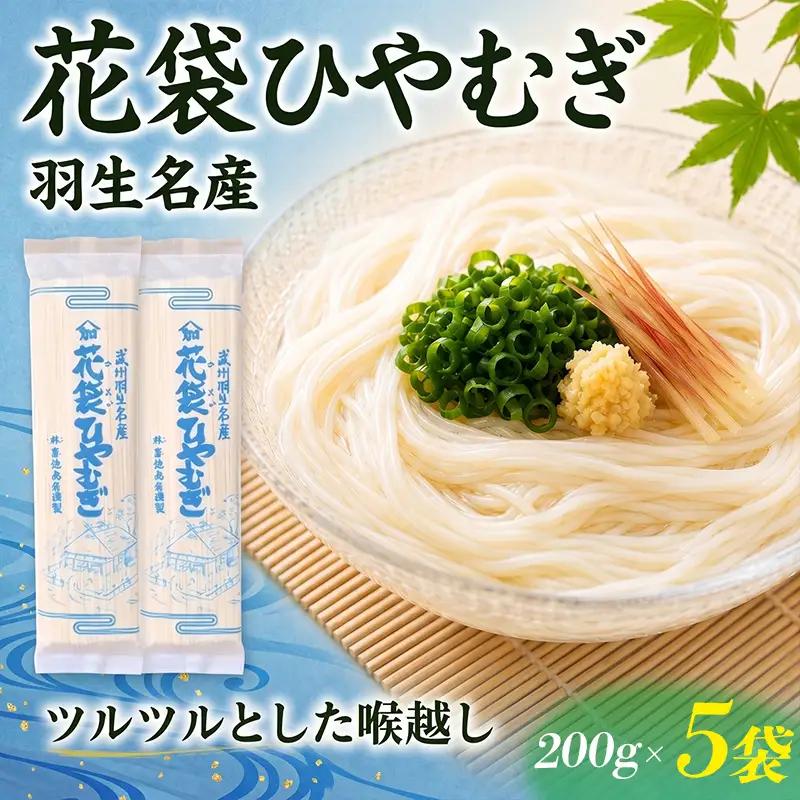 花袋ひやむぎ 10人前 200g×5袋 ひやむぎ 花袋めん