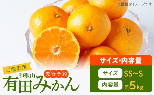 
                  【2026年先行予約】ご家庭用　旨味凝縮 有田みかん 約5kg (2S、Sサイズ)【湯浅町】_AT6323
                