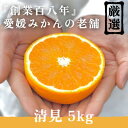 【ふるさと納税】創業百八年 愛媛みかんの老舗【清見5kg】【新口農園】【C70-14】_ みかん ミカン 柑橘 フルーツ 果物 くだもの 青果 清見 きよみ ジューシー 産地直送 産直 愛媛 甘い 常温 家庭用 希少 名産地 樹上 完熟 【1470711】