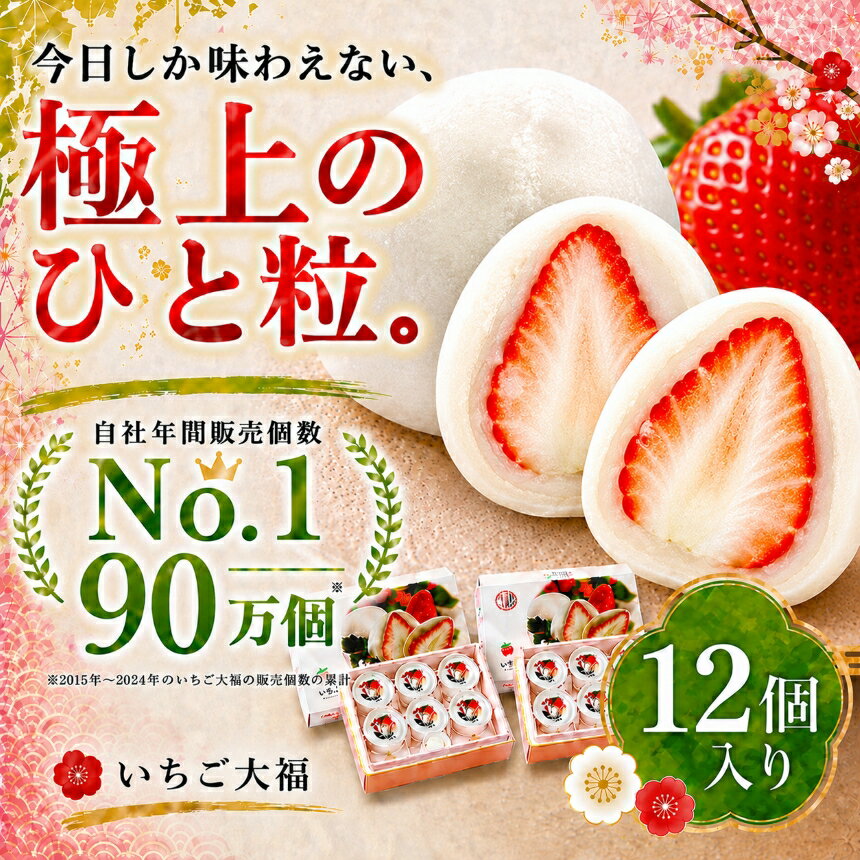【ふるさと納税】「まるごとワイド」で絶賛！午前0時のいちご大福6個入2箱 | 菓子 和菓子 スイーツ おやつ デザート 紅ほっぺ 苺 イチゴ 白あん 白餡 朝採れ 新鮮 手作り 期間限定 静岡県 伊豆の国市
