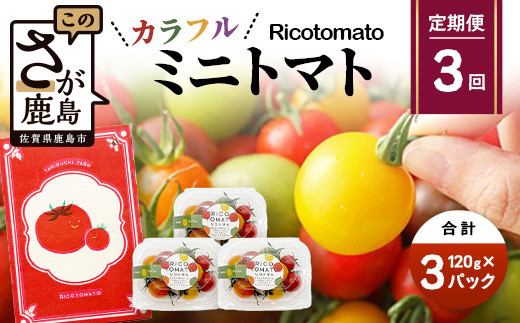 【3回定期便】【先行受付】2027年1月より順次発送｜【少量パック】カラフルミニトマト6種 360g（120g×3）｜トマト プチトマト 野菜 農家直送 ギフト 人気｜佐賀県鹿島市 たにぐちファーム D-241