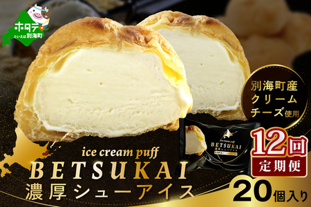 北海道 別海町 【12か月定期便】 BETSUKAI 濃厚 シューアイス 20個 セット【NSM120002】