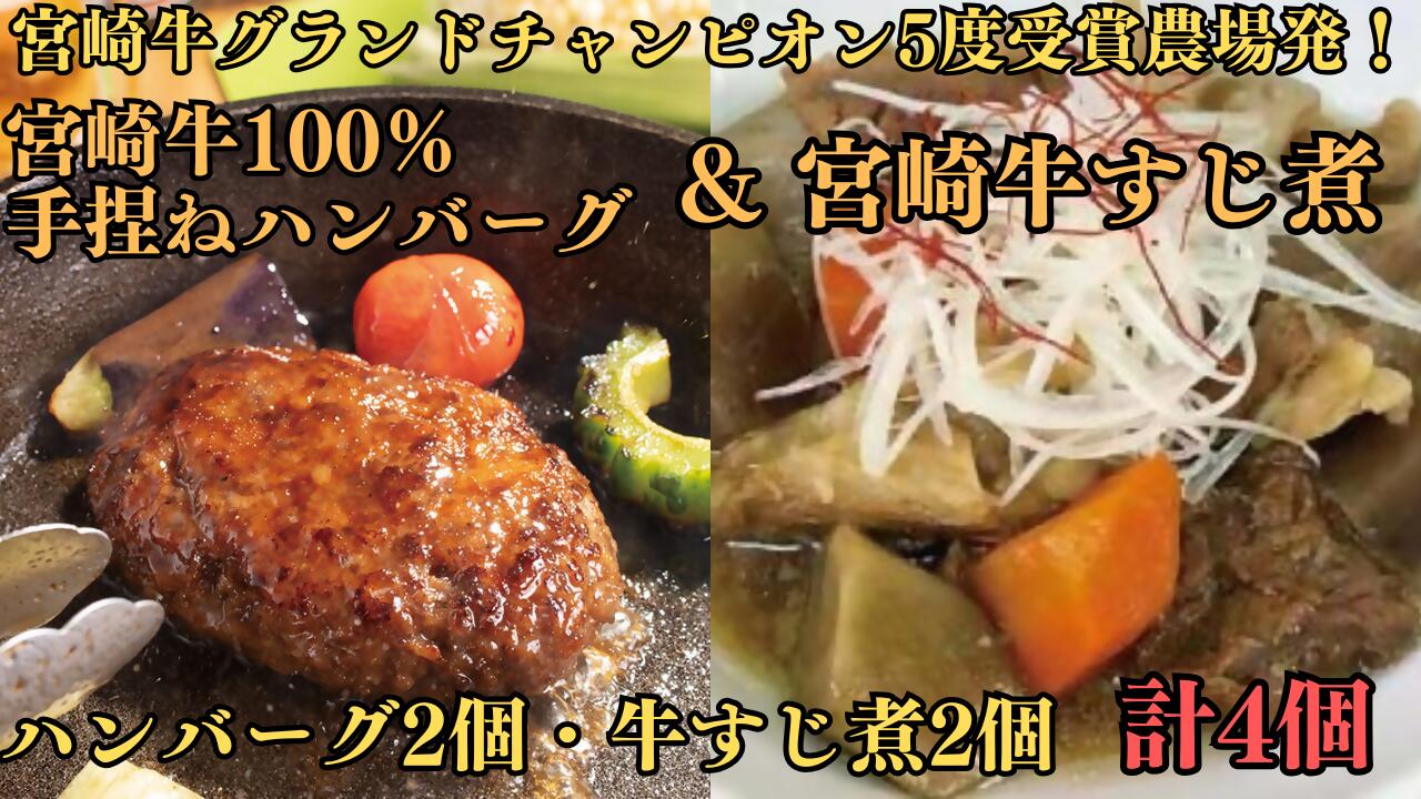 【ふるさと納税】宮崎牛100％手捏ねハンバーグ＆すじ煮　～宮崎牛グランドチャンピオン5度受賞農場発！_DI-004