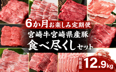 6か月 お楽しみ 定期便 宮崎牛 宮崎県産豚 食べ尽くし セット 総重量12.9kg 数量限定 6回 肉 牛肉 豚肉 国産 食品 黒毛和牛 小分け ロース 豚バラ 小間切れ スライス 焼肉 しゃぶしゃ