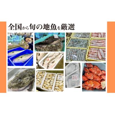 ふるさと納税 下関市 定期便 6ヶ月 サカナDIY 2人前 2種×6ヶ月 冷凍 CX207 |  | 01