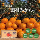 【ふるさと納税】湯浅産　田村みかん　10kg　(サイズおまかせ) ※11月20日～1月20日頃順次発送予定 ※北海道・沖縄・離島への配送不可 / みかん 温州 柑橘 蜜柑 くだもの 果物 果実 フルーツ 和歌山 有田