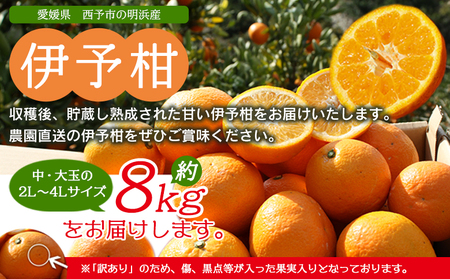 ＜訳あり 伊予柑 約8kg 浜のみかん屋 直送＞ 中 大玉 2L～4L ワケアリ イヨカン いよかん 家庭用 果物 フルーツ おいしい 甘い 柑橘類 明浜産 ご自宅用 特産品 愛媛県 西予市【常温】『