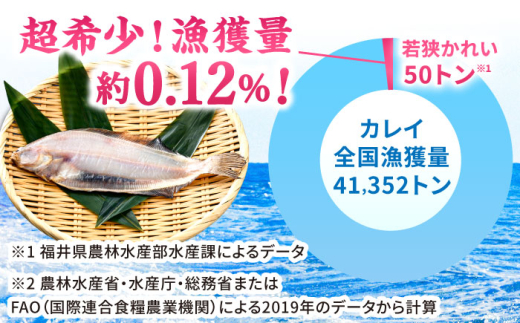 国産 若狭かれい 一夜干し 600g (5〜6枚) ヤナギムシカレイ | カレイ かれい 鰈 干物 一夜干し 焼き魚 魚介 冷凍 小分け お手軽 時短 時短料理 魚貝類 タイ 鯛 加工品 おかず 朝食