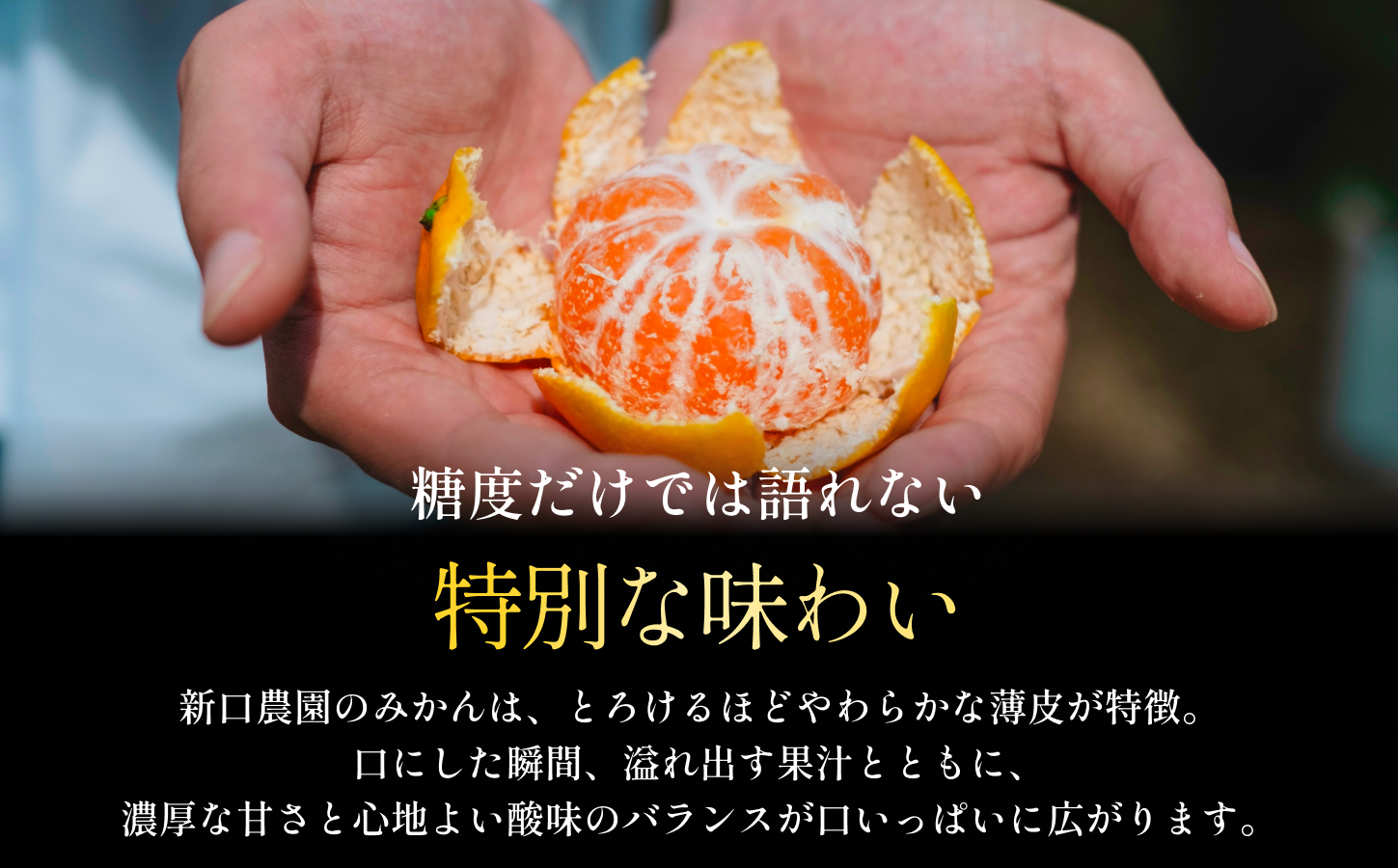 【先行受付】【小玉サイズ限定】五代目が厳選した愛媛みかん 10kg【愛媛県川上産】【E70-93】【1671190】 YWTK092