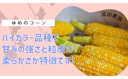 ［武田農園とれたて直送］スイートコーン ゆめのコーン  2L 10本 みずみずしく抜群にあまい！北海道 富良野産 (とうもろこし 野菜 新鮮 とうきび 甘い 産地直送 先行予約 限定)