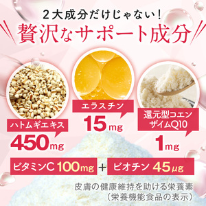 ヒアルロン&コラーゲン+還元型CoQ10×6個(180日分)袋タイプ | ヒアルロン コラーゲン ミルク風味 美容 ファイン 兵庫県 上郡町