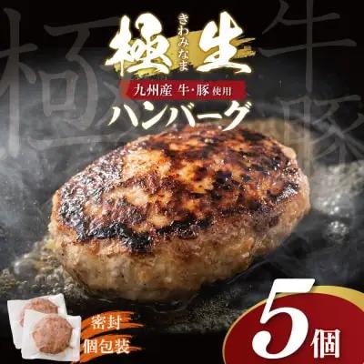 Z61-40 寄附額改定↓↓ 極生ハンバーグ 5個セット(150g×5) ハンバーグ