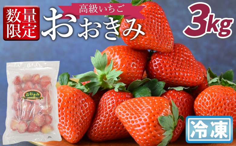 ＜高級いちご「おおきみ」冷凍いちご　3kg＞2025年1月下旬から順次出荷【 果物 くだもの いちご イチゴ 苺 大粒 朝どれ 朝獲れ 産地直送 お菓子づくり お菓子作り 材料 冷凍いちご 冷凍苺 冷凍イチゴ 】【b0906_sn】