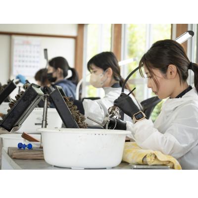 ふるさと納税 長崎市 7.5-8.0mm　アコヤ真珠　ロングネックレス |  | 03