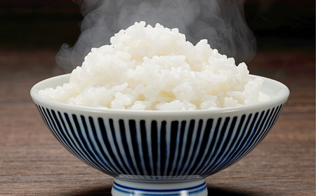 新米 新潟県産コシヒカリ 4kg コシヒカリ 新潟県認証 特別栽培米 令和7年産米 【015S176】