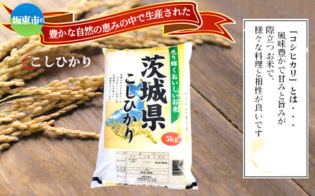 No.848 令和6年産　こしひかり5kg【坂東市産】