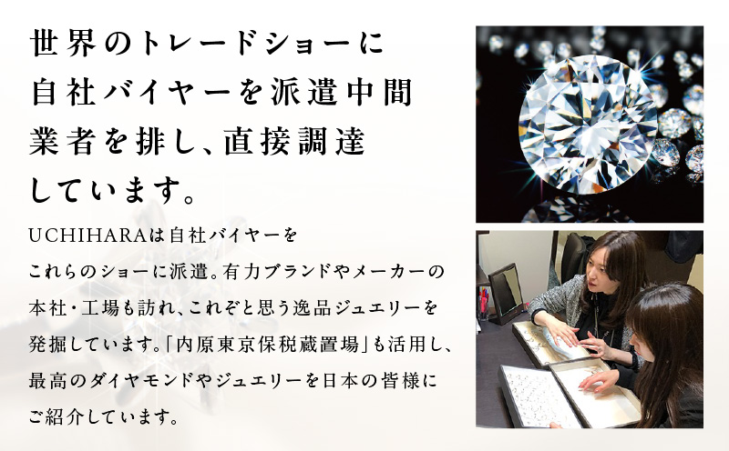 ARC-EN-CIEL プラチナ ダイヤピアス（計 0.5ct）【鑑別書付き ジュエリー プレゼント ギフト ファッション アクセサリー 贈り物 贈答 お祝い 記念日】 J020-1