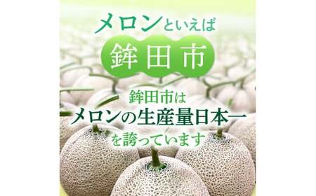 【訳あり】イバラキングメロン（大）2玉（約3kg以上）