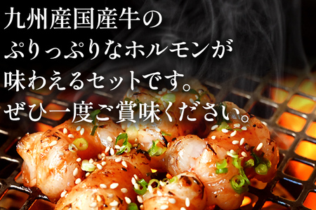 焼肉みらく 国産 ミックスホルモン 約900g 牛ホルモン 焼き肉 お肉 ほるもん 味付き肉 味付け肉 味付き 九州産 送料無料