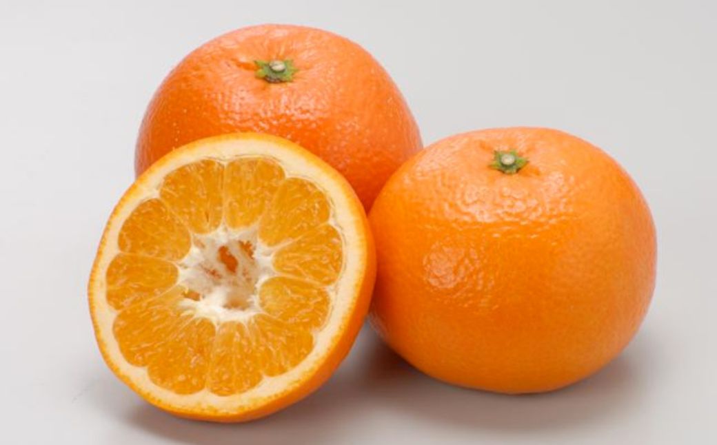 【ふるさと納税】【先行予約】【数量限定】JAにしうわ みつる共選 伊予柑 約10kg ※離島への配送不可（2026年1月上旬より順次発送予定） 【 人気 おすすめ ランキング みかん 伊予柑 いよかん 柑橘 フルーツ くだもの 国産 甘い 愛媛県 伊方町 送料無料 】 IKTBC007