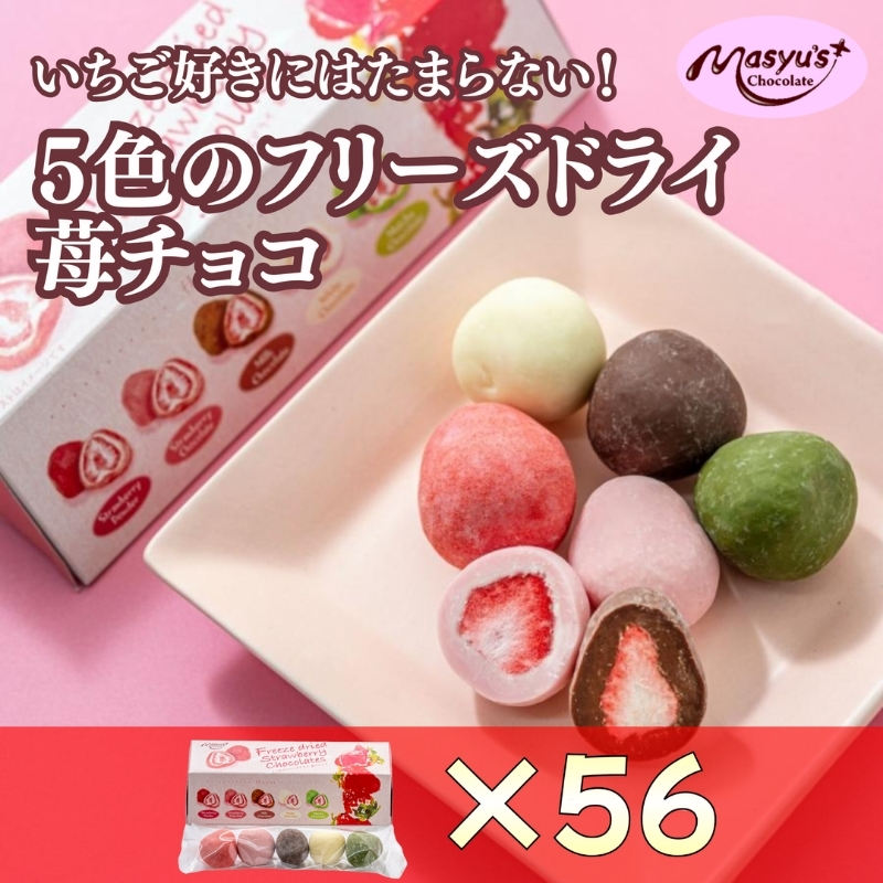5色の苺チョコ 5粒×56箱 11月～3月発送 チョコレート チョコ スイーツ お菓子 おかし  苺  ミックス  ミルクチョコ  ホワイトチョコ  苺チョコ  抹茶チョコ  ギフト プレゼント 兵庫県 伊丹市