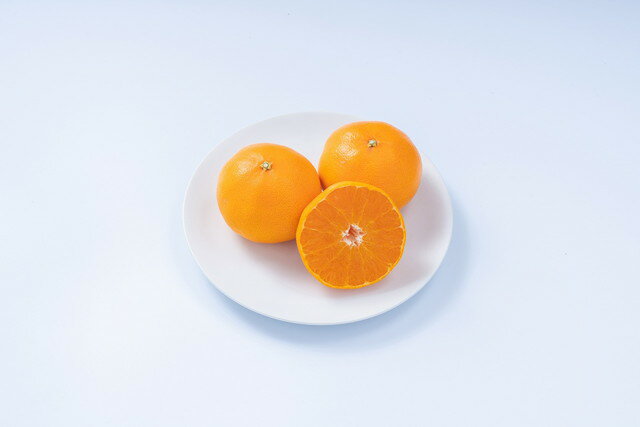 【ふるさと納税】佐賀産 柑橘6種定期便 彩りセット【全6回】999-B861