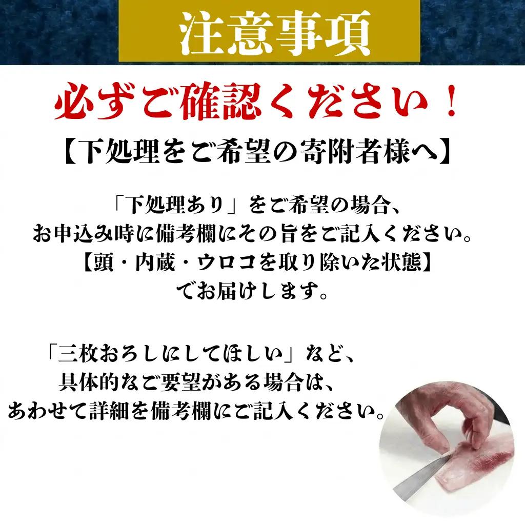 三陸の鮮魚便 2人~3人用 冷蔵 