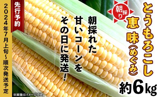 朝採りとうもろこし約6kg（恵味）【先行予約：2024年7月上旬～7月下旬ころ順次発送予定】【 とうもろこし トウモロコシ とうきび 甘い スイーツ デザート コーン 人気 野菜 新鮮 おすすめ 】