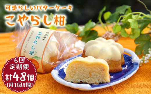 
【月1回8個×6回定期便】こやらし柑 計48個＜お菓子のいわした＞ [CAM021]
