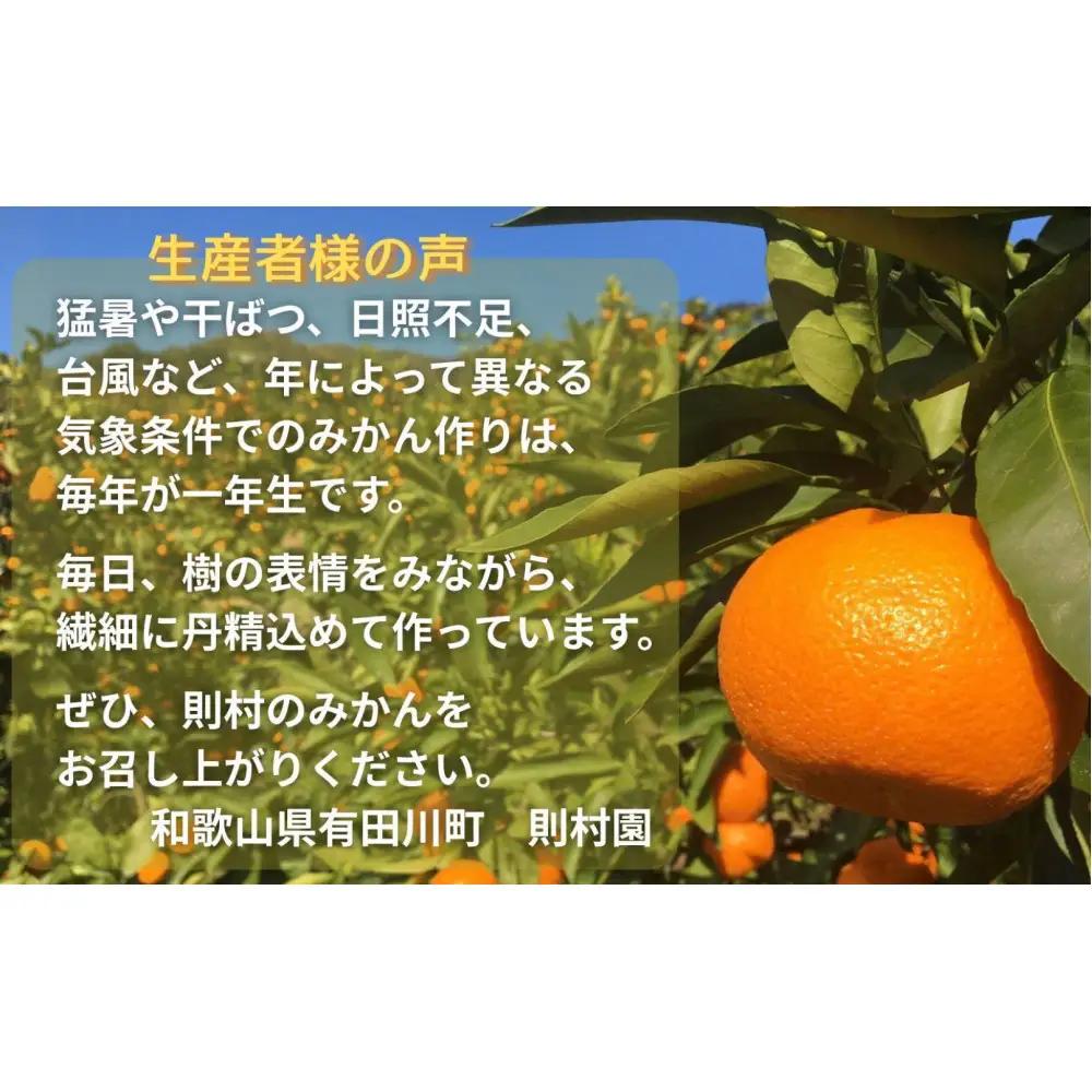 則村園産 有田みかん 7kg 温州みかん みかん 蜜柑 甘い 甘いみかん 有田 有田川町 和歌山