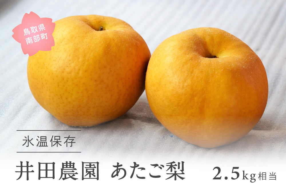 鳥取県南部町産　井田農園のあたご[梨]（2.5kg箱）＜11月下旬～3月出荷分＞