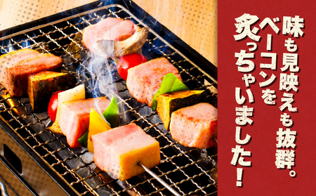 炙りベーコンブロック　約3kg　K161-018_03 肉 豚 豚肉 ベーコン 冷凍 惣菜 総菜 小分け 炙り アレンジ ブロック 薩摩ハム ふるさと納税 鹿児島 おすすめ ランキング プレゼント ギ