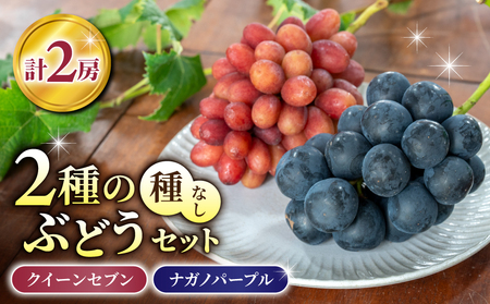 【先行受付2026年発送】2種の種なしぶどうセット(クイーンセブン・ナガノパープル） 合計2房｜あおさく農園　※2026年9月中旬以降発送予定