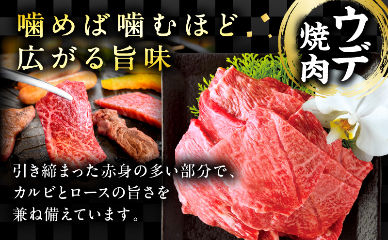 宮崎牛ウデ焼肉400g 宮崎県産黒毛和牛こま切れ100g_M132-022