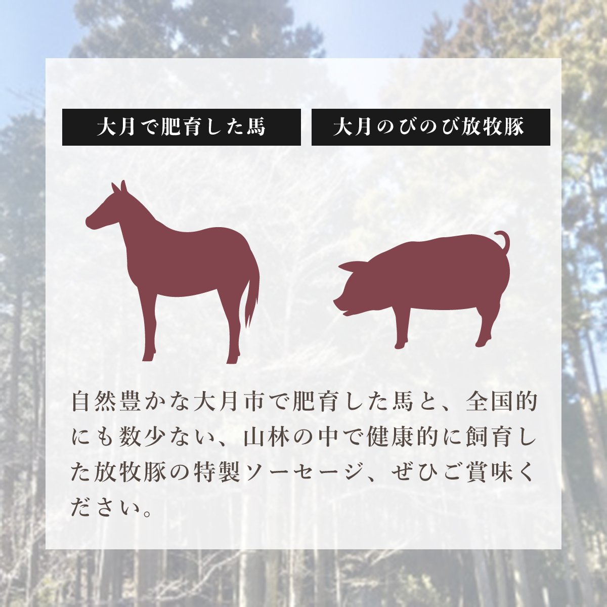 大月市で肥育した馬と放牧豚で作った馬豚ソーセージ 【馬肉70%：豚肉30%】