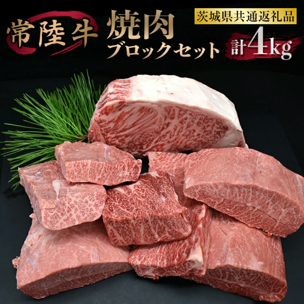 【ふるさと納税】焼肉ブロックセット（茨城県共通返礼品）【サーロイン ミスジ カルビ カタバラ バラ お肉 焼肉 食べ比べ やきにく ステーキ 厚切り かたまり ブロック肉 冷凍】