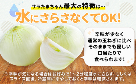 訳あり サラたまちゃん 新玉ねぎ 5kg 《4月中旬-5月末頃出荷》熊本県 葦北郡 津奈木町 野菜 たまねぎ エコファーマー 大中小サイズ混合 特産品 サラたまちゃん サラダ玉ねぎ 玉ねぎ タマネギ