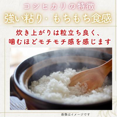 ふるさと納税 小浜市 【毎月定期便】福井県産こしひかり白米10kg全6回 |  | 01