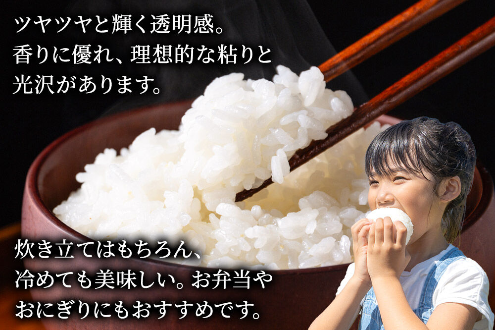 米《定期便4ヶ月》あきたこまち【白米】 米どころ秋田県産 令和7年産 精米 30kg（5kg×6袋） [米 お米 こめ 白米 精米 あきたこまち ブランド米 小分け ご飯 ごはん 米どころ 秋田県産 
