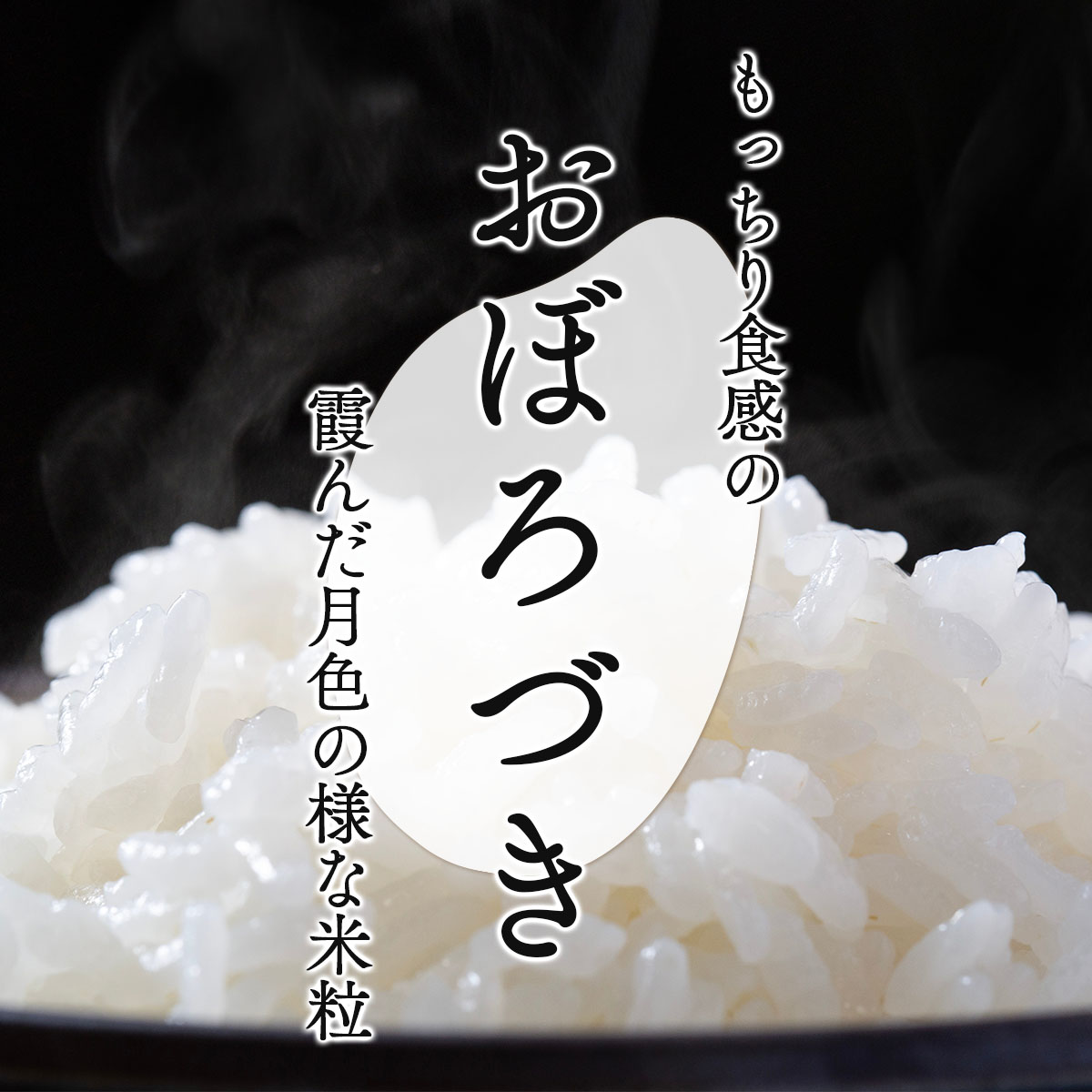 5ヶ月定期便　令和7年産北海道岩見沢産米　おぼろづき精米5kg≪沖縄・離島配送不可≫【35042】